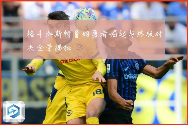 格斗加斯特鲁姆勇者崛起与终极对决全景揭秘